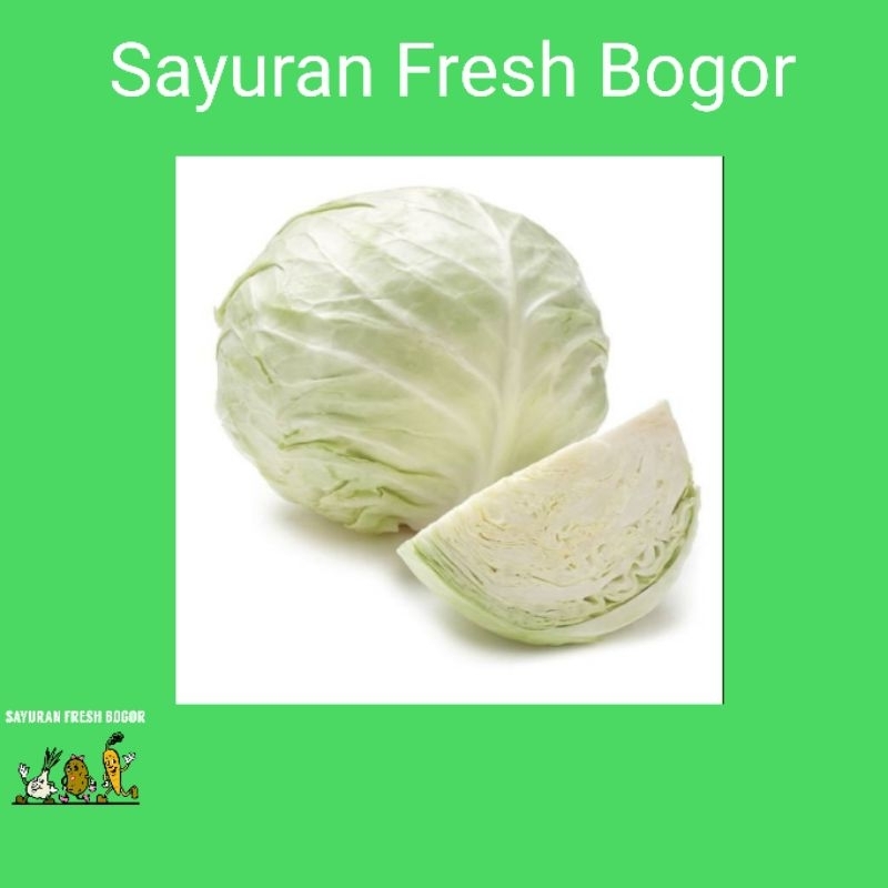 

Kol / Kubis putih Segar ( 500 Gram ) | Sayuran Fresh Bogor