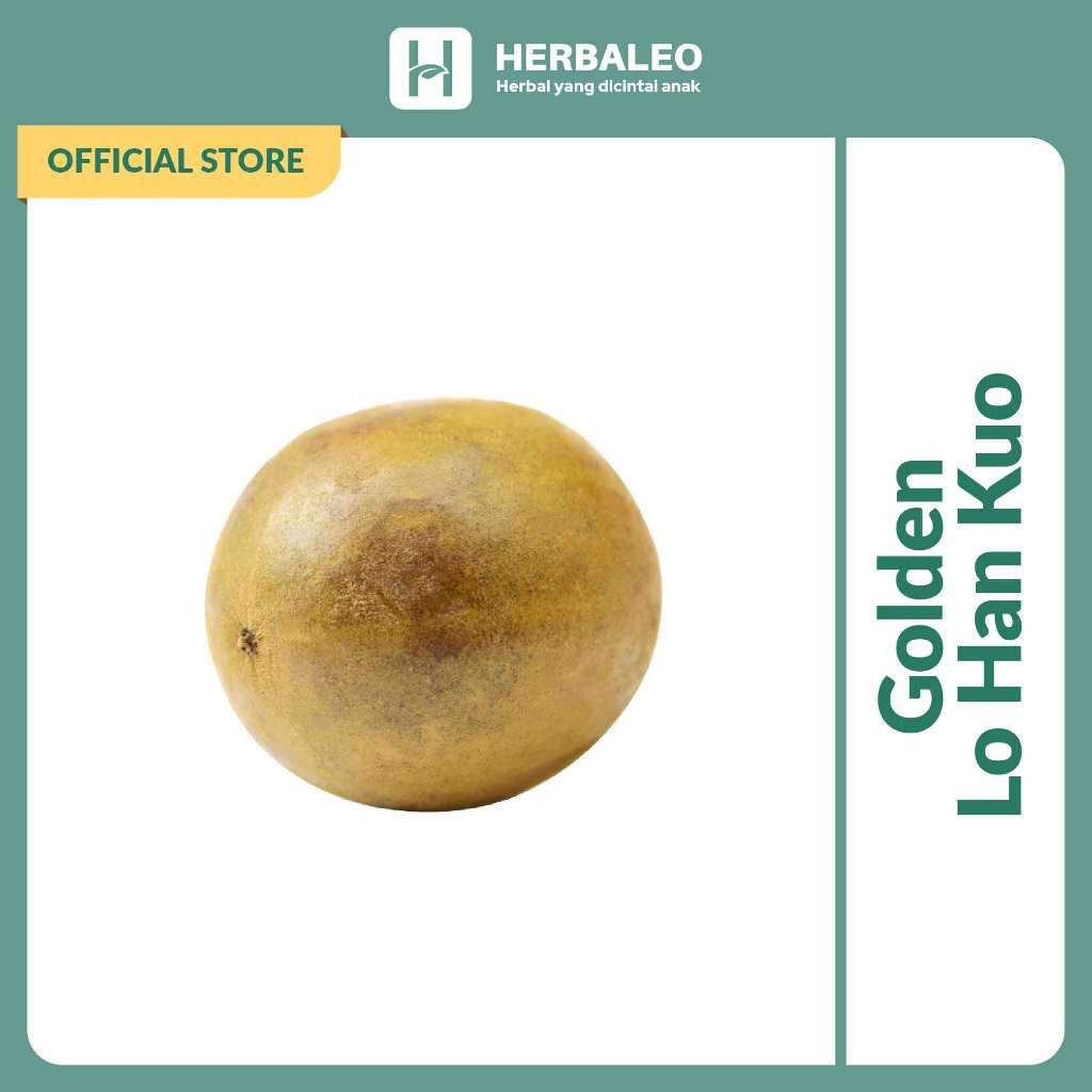 

Golden Lohankuo / Premium Lohankuo (电罗汉果) untuk Panas Dalam / Lo Han Kuo Gold / Luo Han Guo