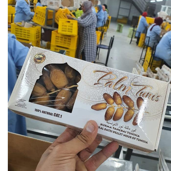 

Kurma Palm Tangkai DATES 500gr//tunisia tangkai KEMASAN DUS exp 2026