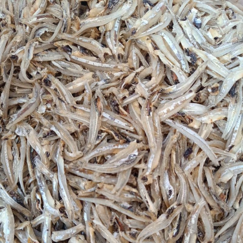 

Jengki belah super best seller