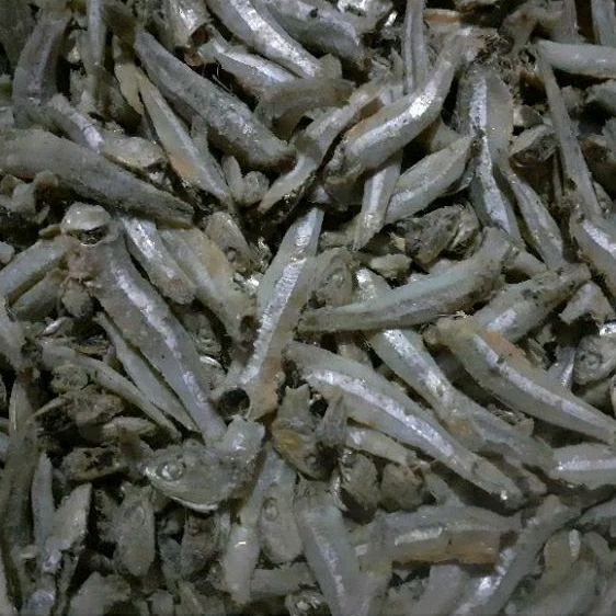 

Ikan Asin Teri Rebus 500 gram