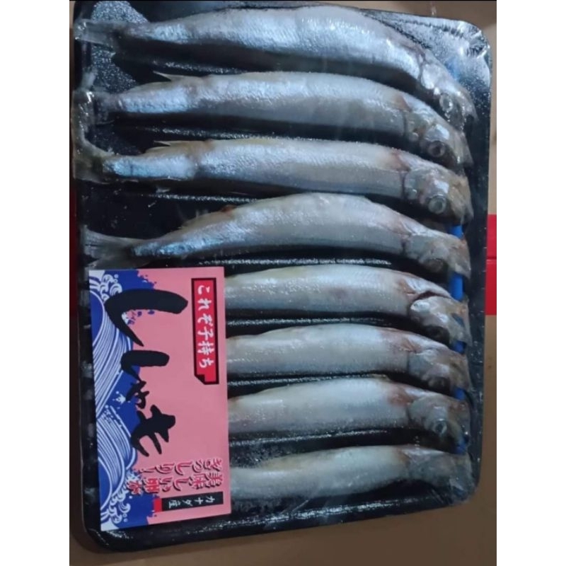 

ikan shisamo ikan cipung