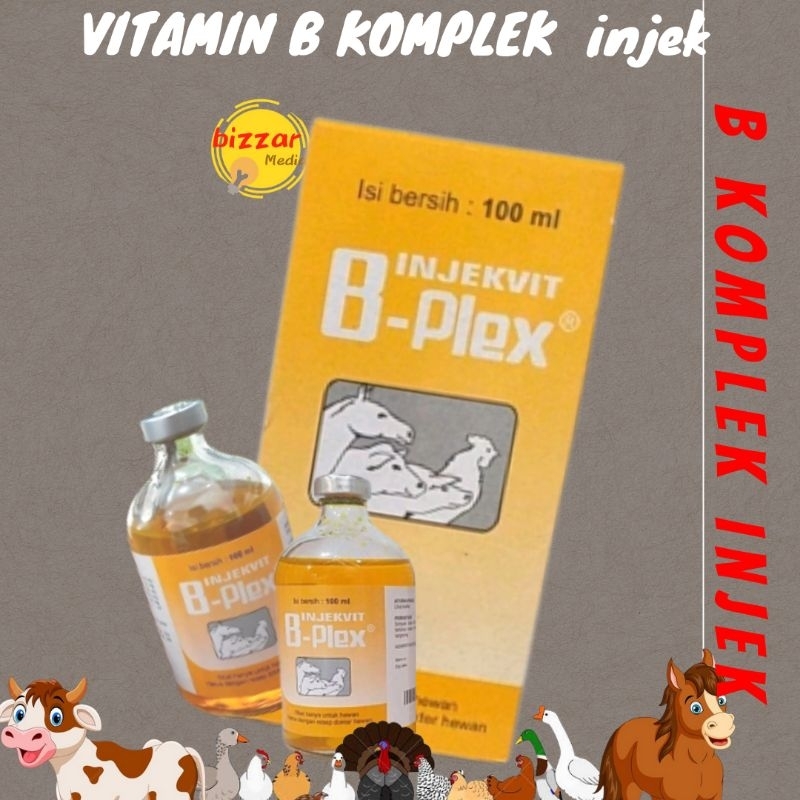 Vitamin B Komplek Injek khusus hewan B Plex 100ml