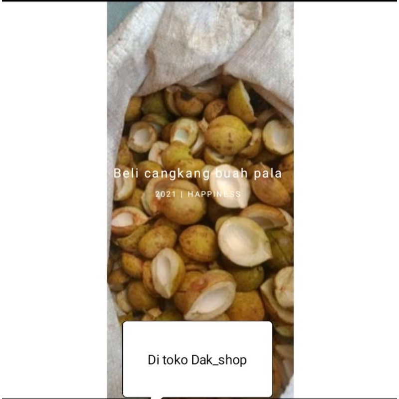 

Cangkang buah pala Fresh berat 1 kg
