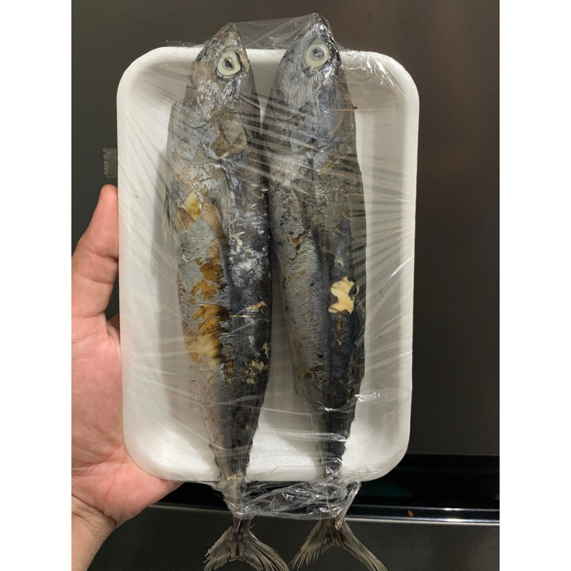 

KIRIM INSTAN Ikan Tongkol