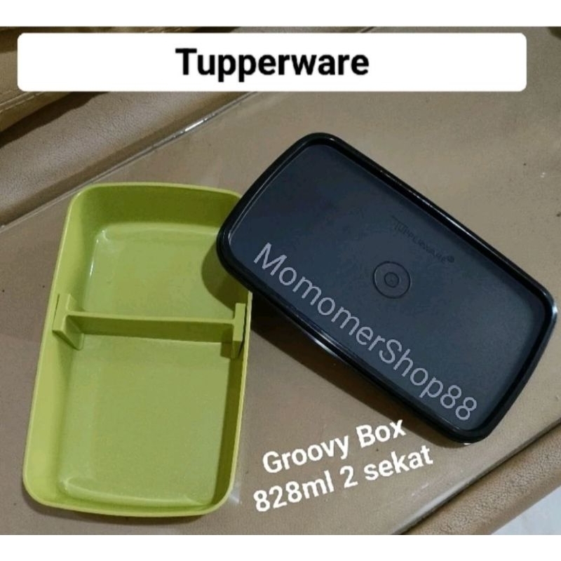 Tupperware Groovy Box - Fun Bento - Sandwich Keeper / Tempat Makan Lunch Box 1 sekat Tempat Bekal