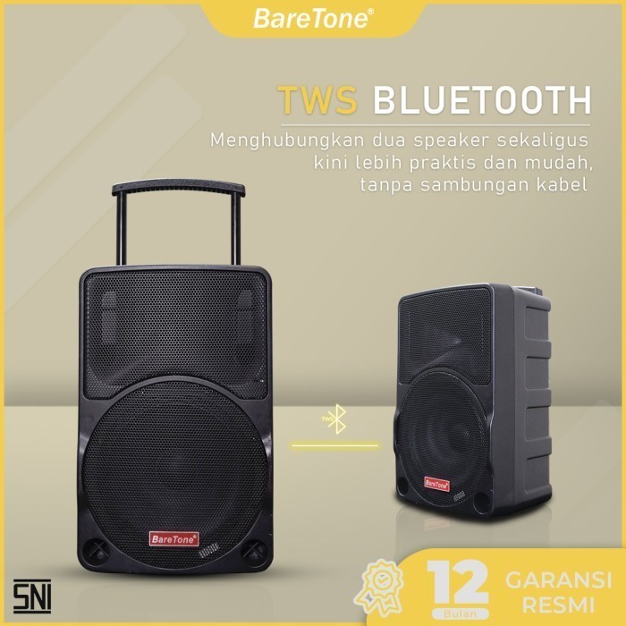 Speaker Portable 10Inch BareTone MAX 10 C
