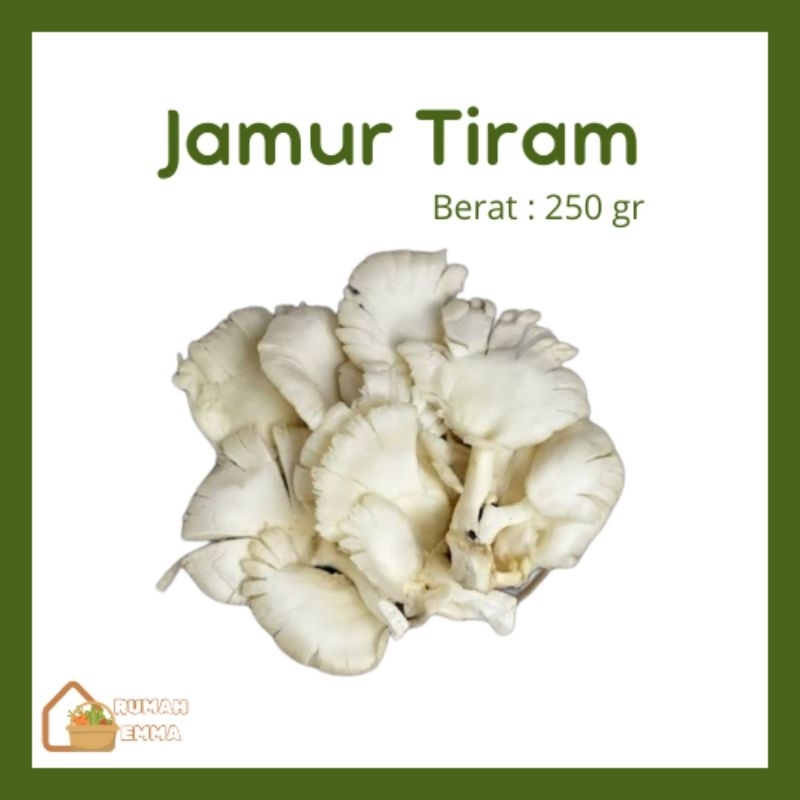 

Sayuran Fresh Jamur Tiram dikirim instant