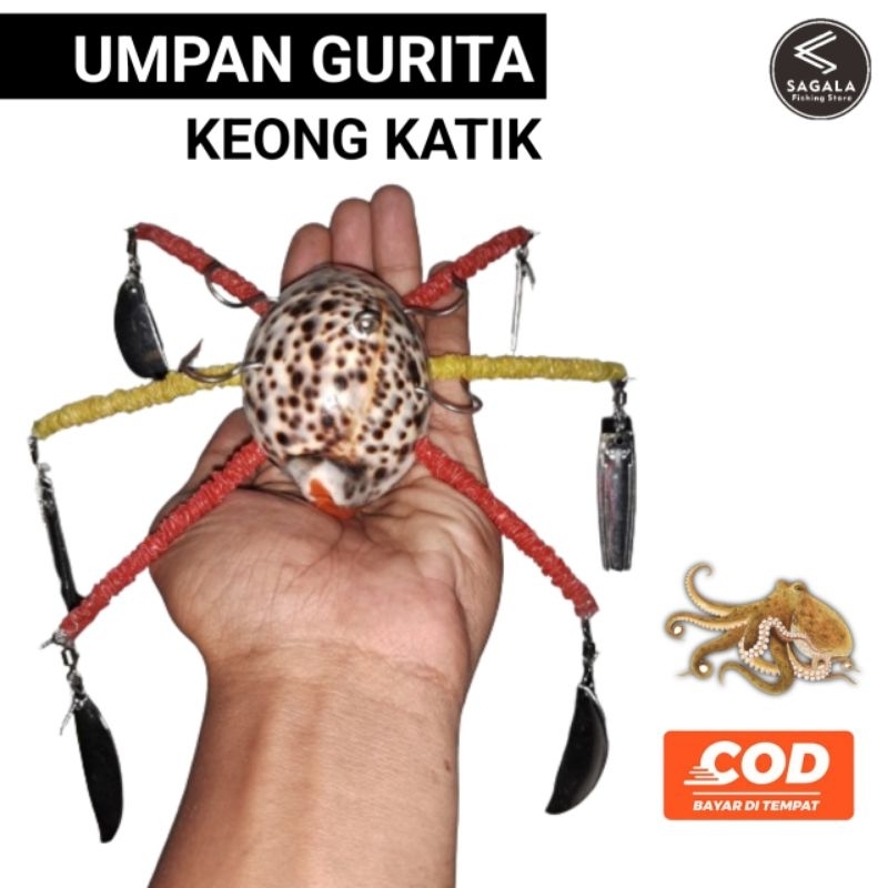 umpan gurita termurah paling killer keong katik / kerang kuwuk