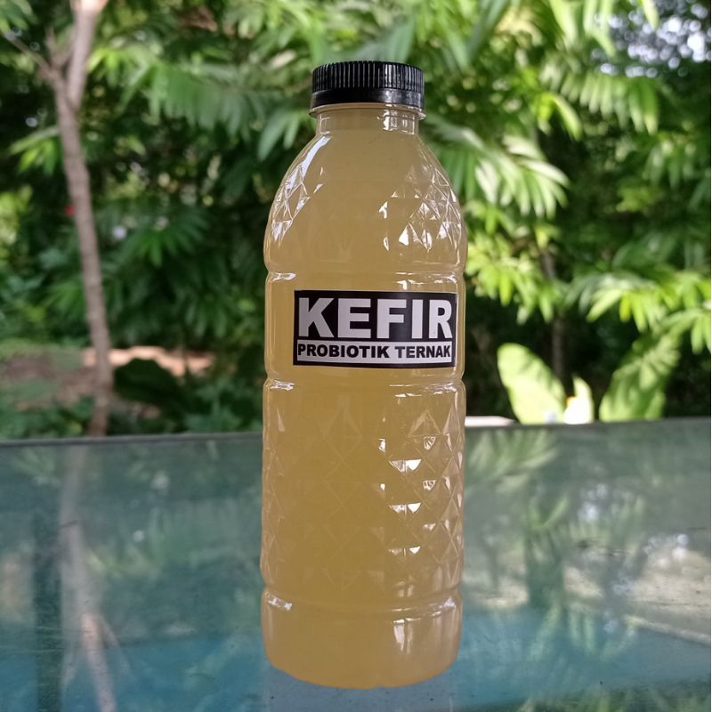 Probiotik Kefir Whey 1 LITER Ayam Petelur PPK