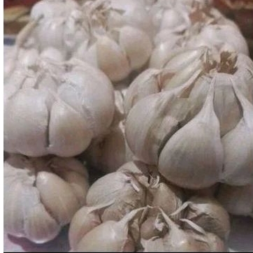 

Bawang putih kating super besar 1 Kg