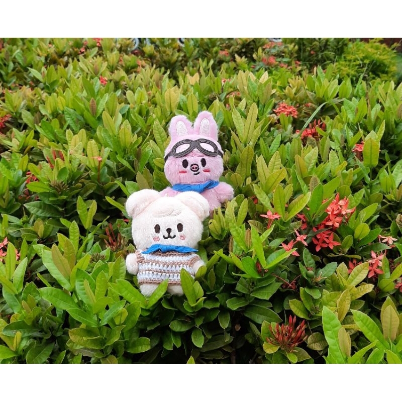 stray kids merch limited