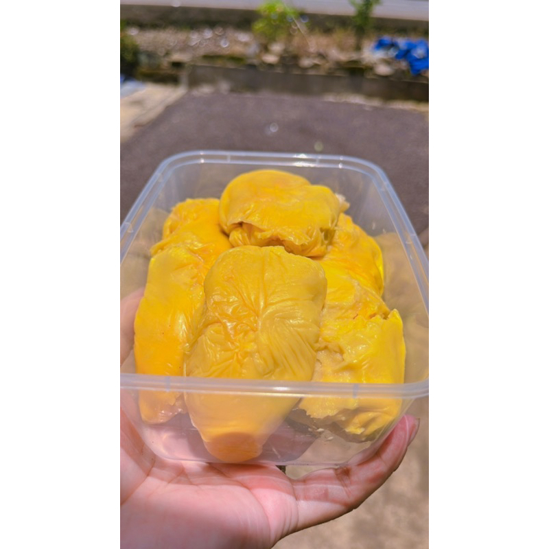 

DURIAN CUP MAMI