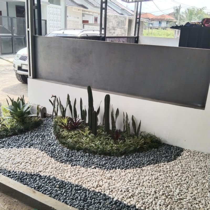 Taman kering pembuatan taman kering minimalis taman batu koral taman minimalis