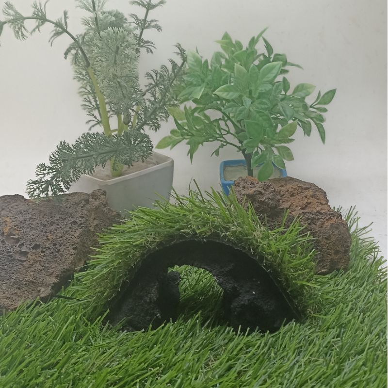 miniatur jembatan rumput Aquascape paludarium