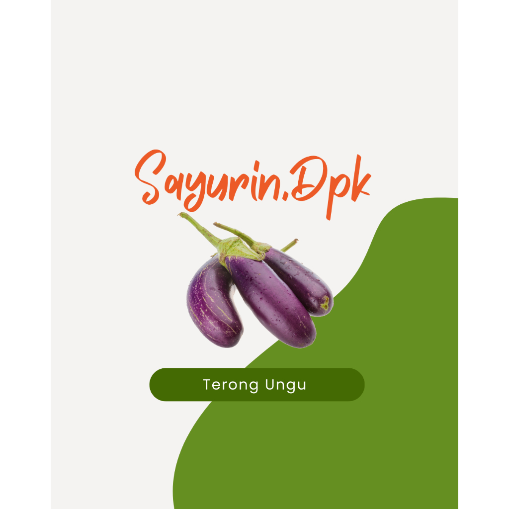 

Terong Ungu