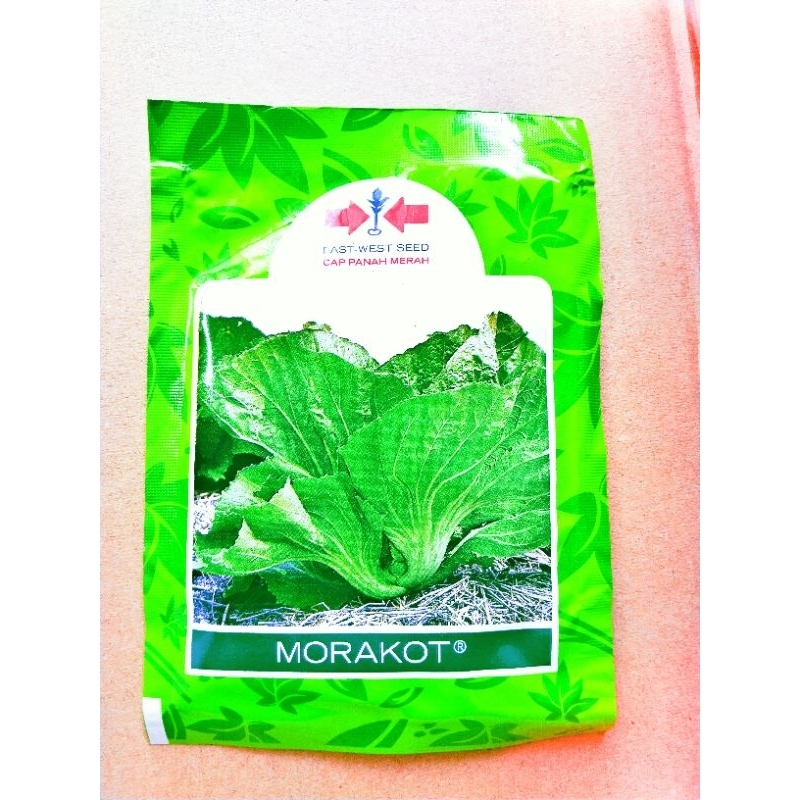 Benih Sawi Pahit MORAKOT