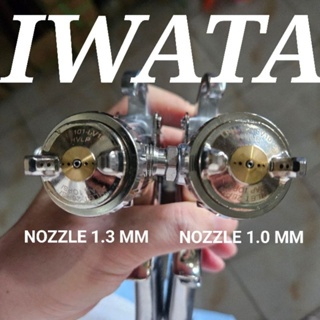 Spray Gun W101 G Iwata