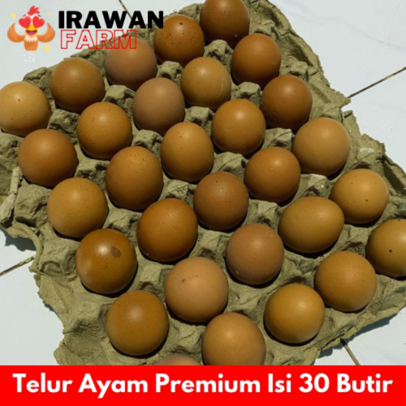 

TELUR AYAM HORN ISI 30BUTIR