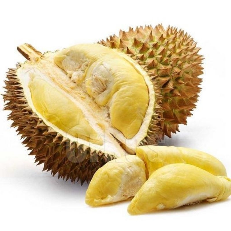 

DURIAN LOKAL PRIDE KUALITAS GREAD A, GARANSI MAKNYUSS