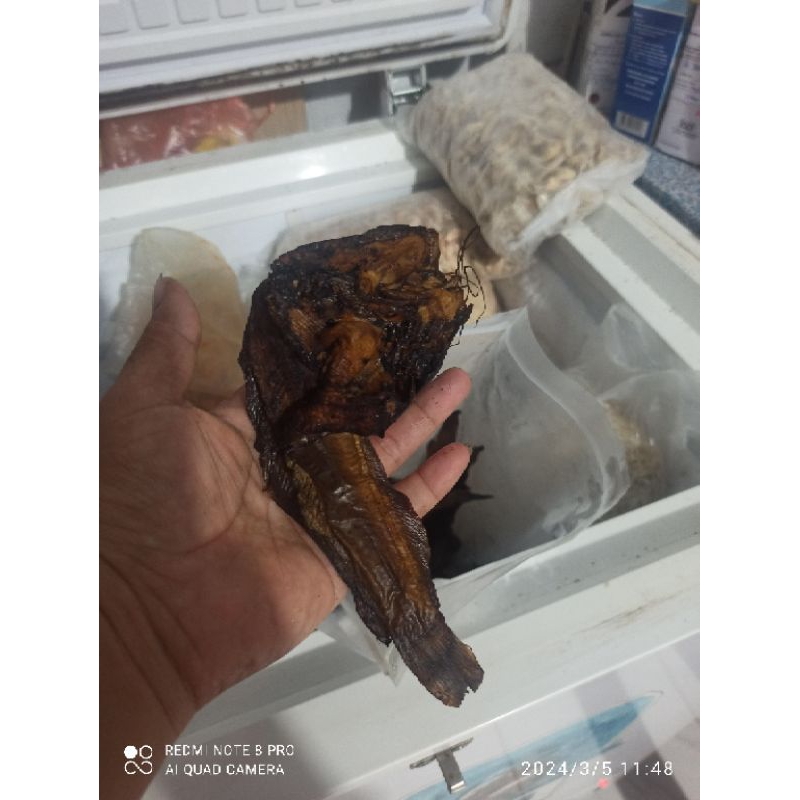 

Ikan Lele sale kemasan 250gram Asli medan