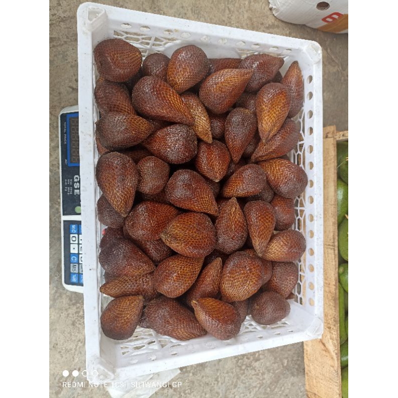 

salak pondoh 1 kranjang