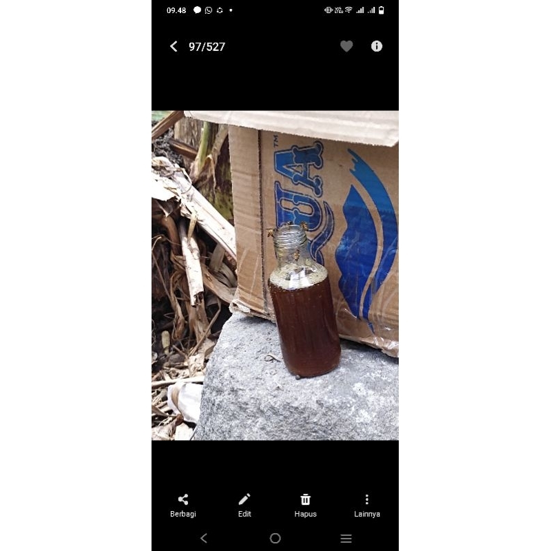 

Madu Asli Nektar Alam,, Tanpa pakan buatan