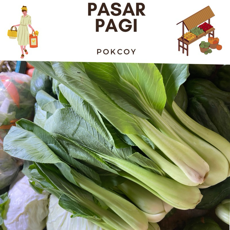 

sayur pokcoy segar/500 gram