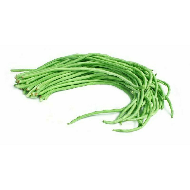 

Kacang Panjang