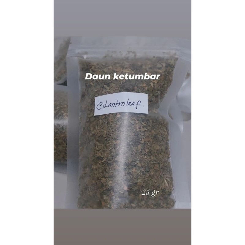daun ketumbar cilantro