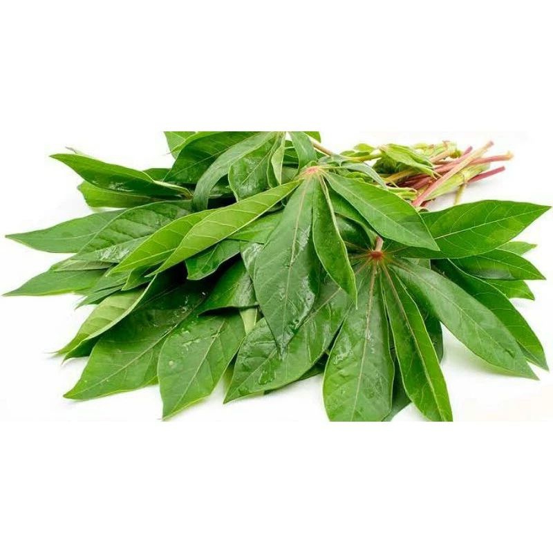 

daun singkong per ikat