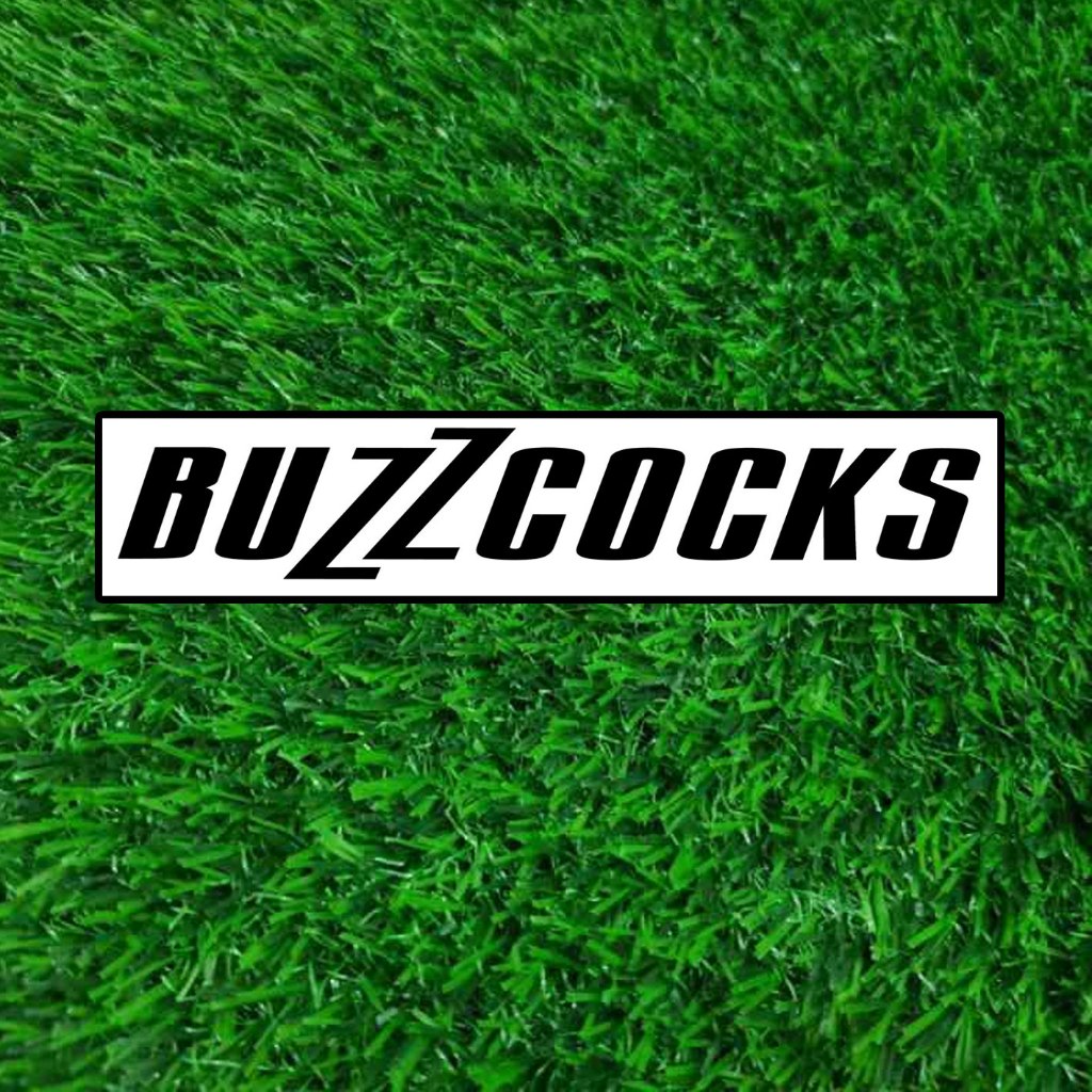 

Sticker Buzzcocks - STIKER MUSIK PUNK