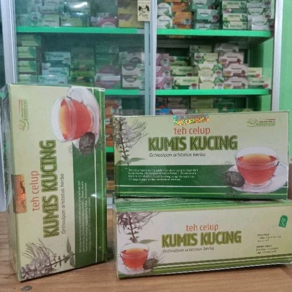 

TEH KUMIS KUCING ORIGINAL HERBAL AMPUH UNTUK KESEHATAN GINJAL