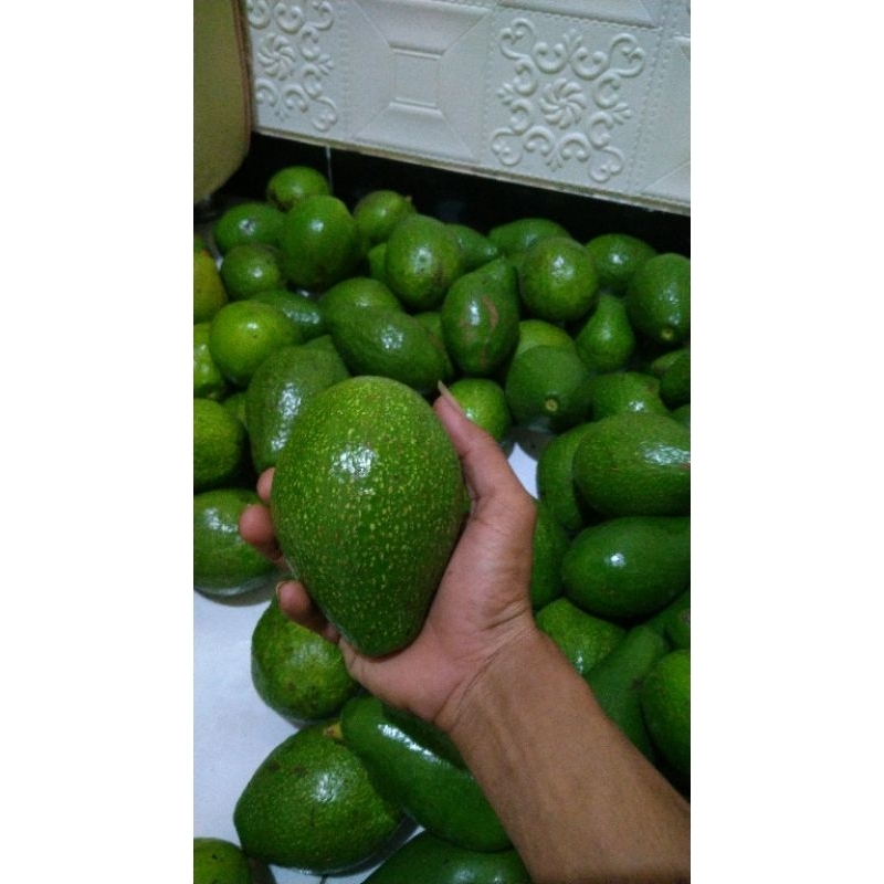 

ALPUKATMENTEGALOKAL