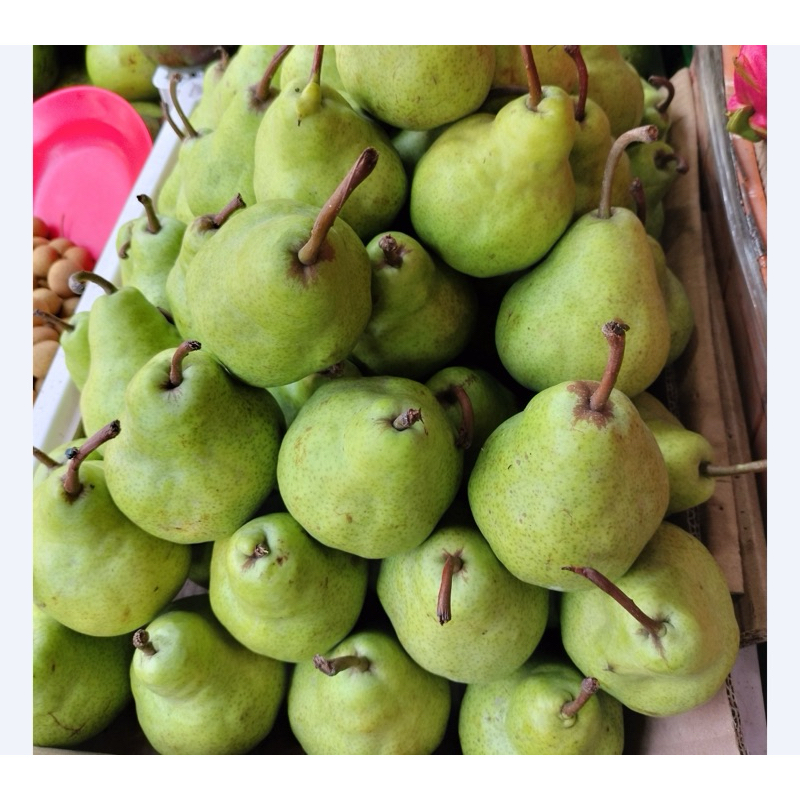 

Pear Jambu