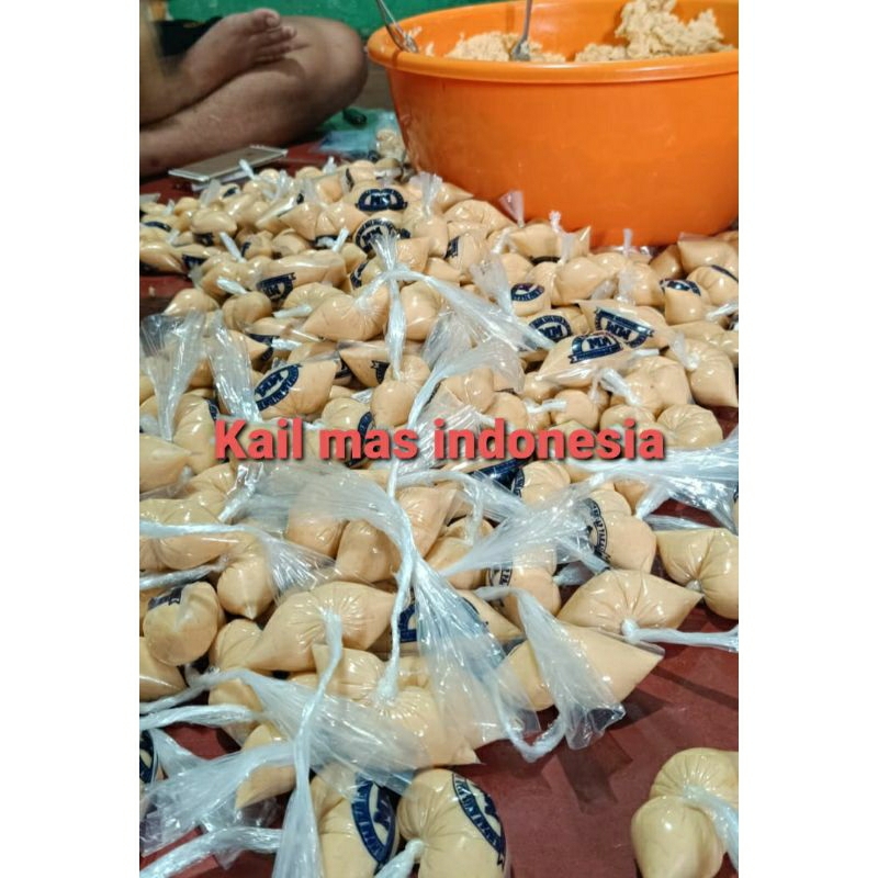 Umpan MM Ikan mas tali panjang siap pakai pengiriman instan/ samiday untuk menghindari basi