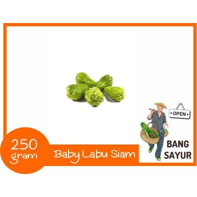 

KIRIM INSTAN Baby Labu Siam 250 gram