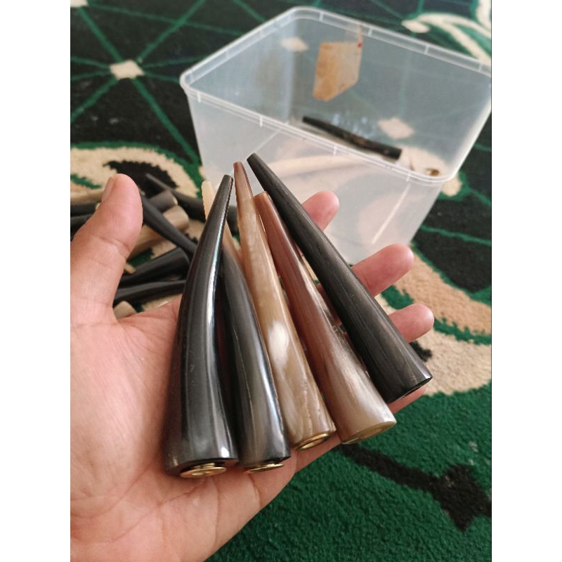 once tanduk bule 11-12 cm/once tanduk asli/once murah