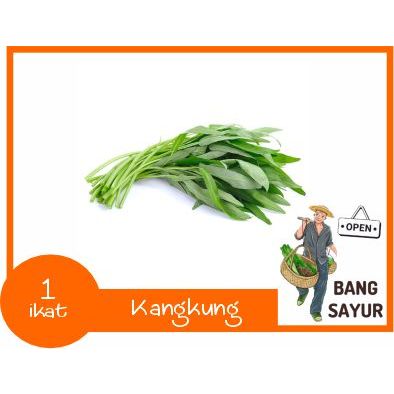 

KIRIM INSTAN Kangkung 1 ikat