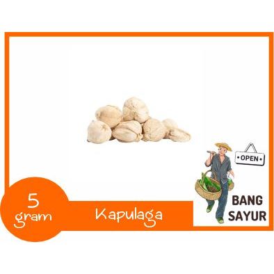 

Kapulaga 5 gram