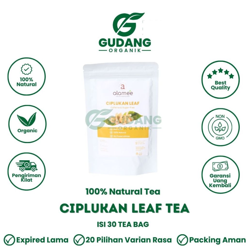 

Teh Daun Celup Ciplukan Leaf Tea Teh Daun Ciplukan Minuman Herbal Tea Siap Seduh Alami