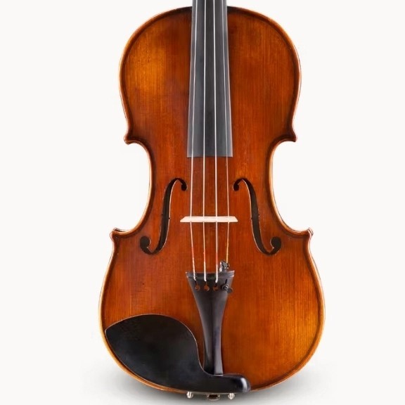 Biola / Violin Andreas Eastman VL305