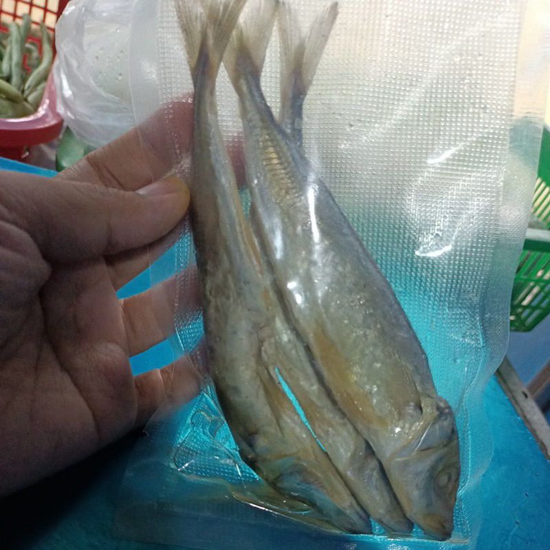 

Ikan Asin Japu 100gr