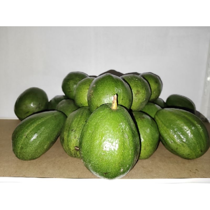 Buah Alpukat Markus Mentega Super || Alpukat || Alpukat Markus || Alpukat Mentega || Buah Alpukat ||