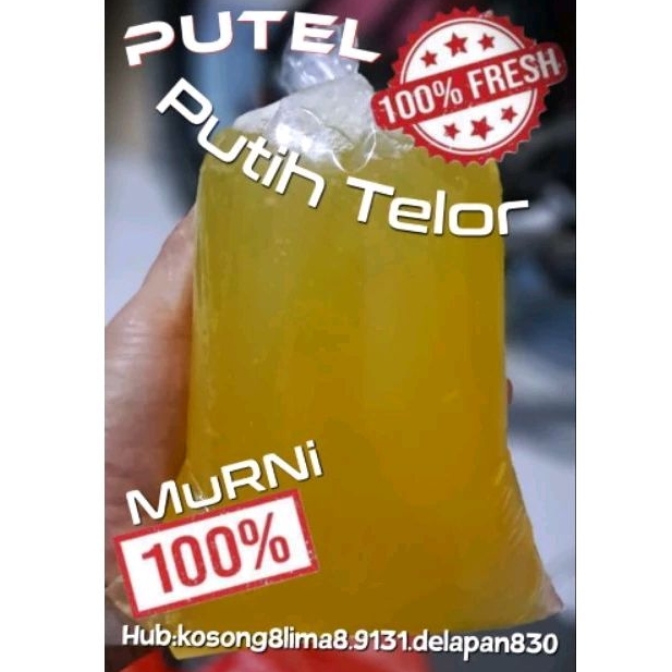 

PUTIH TELOR FRESH 100% MURNI SELALU READY