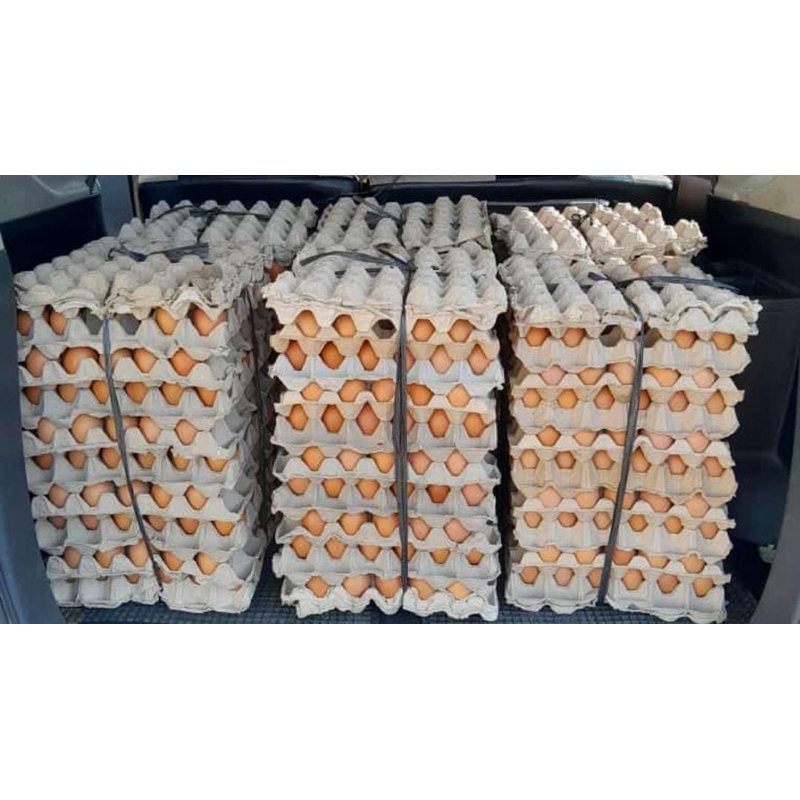 Telur Ayam Fresh Bandung
