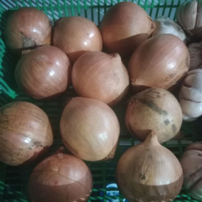 bawang Bombay 1kg