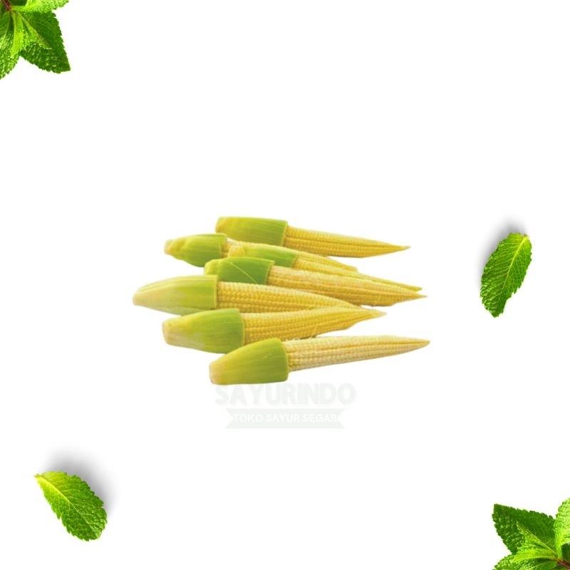 

Jagung Putren / Baby Corn 500gram