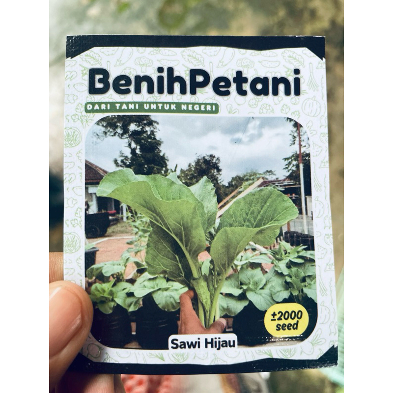 2000 Biji Benih Sawi Hijau - Bibit Sayur Sawi Mie Bakso Unggul