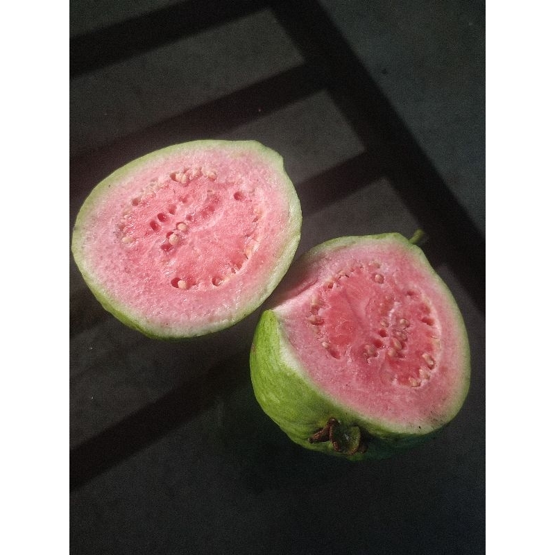 

jambu biji merah